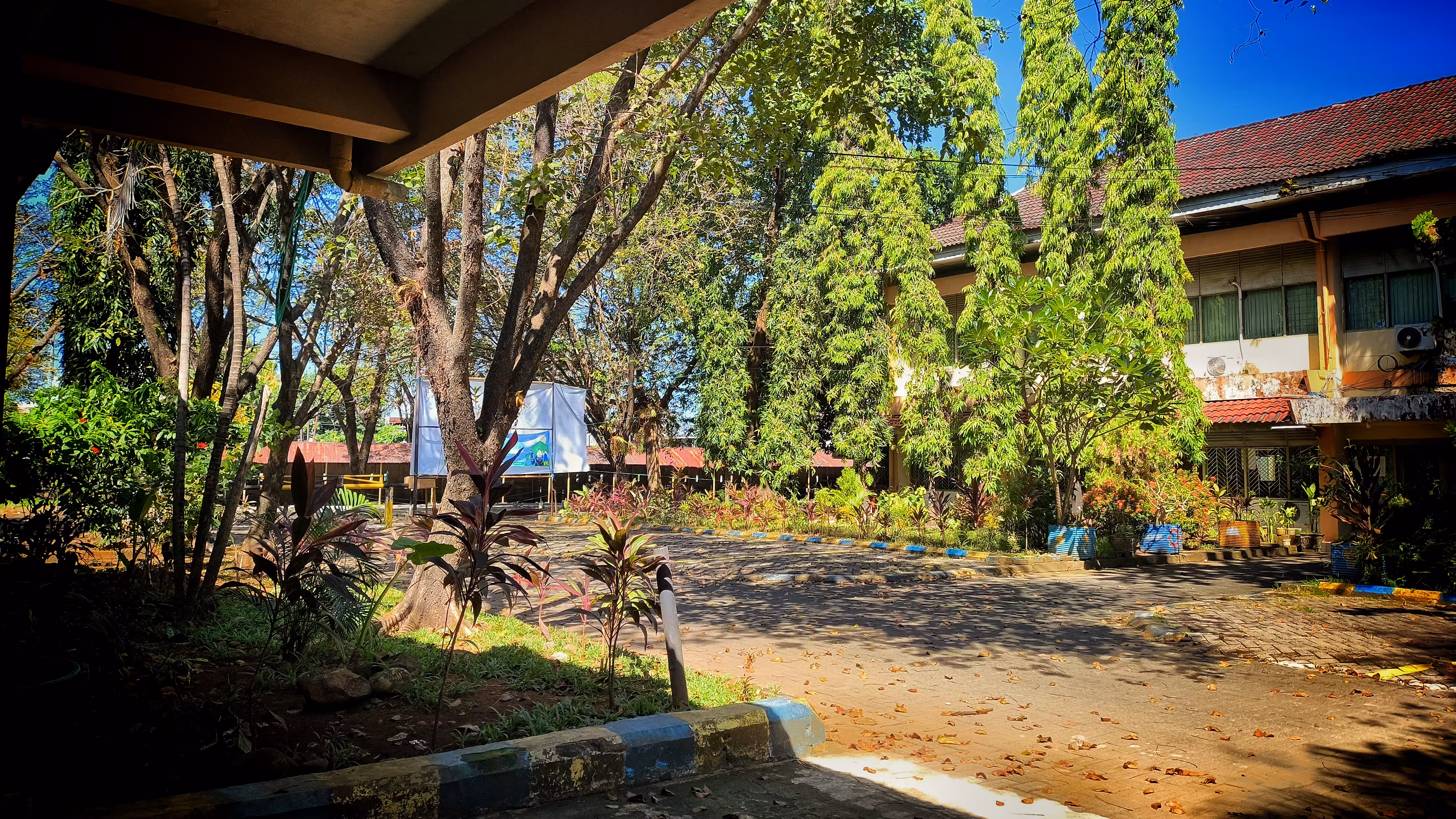 Creative Art: Where Time Settles Beneath the Trees