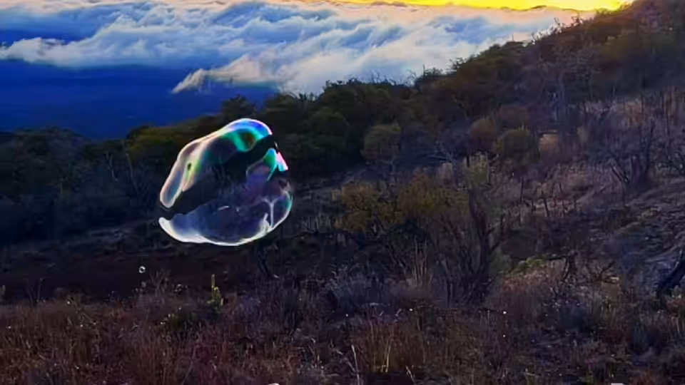 The First Mauna Kea Bubble Video