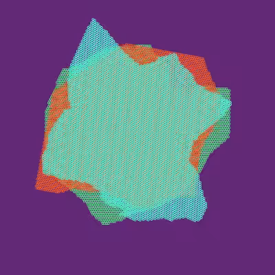Moiré Mesh Paintings #25
