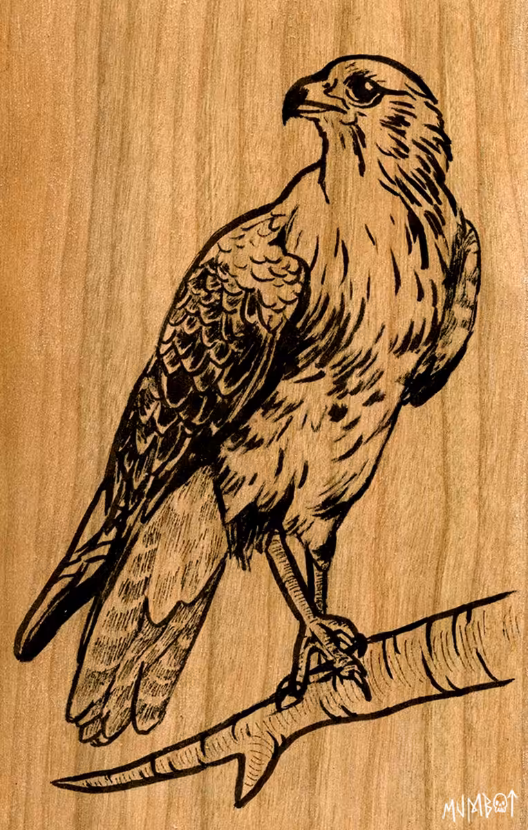 Falcon