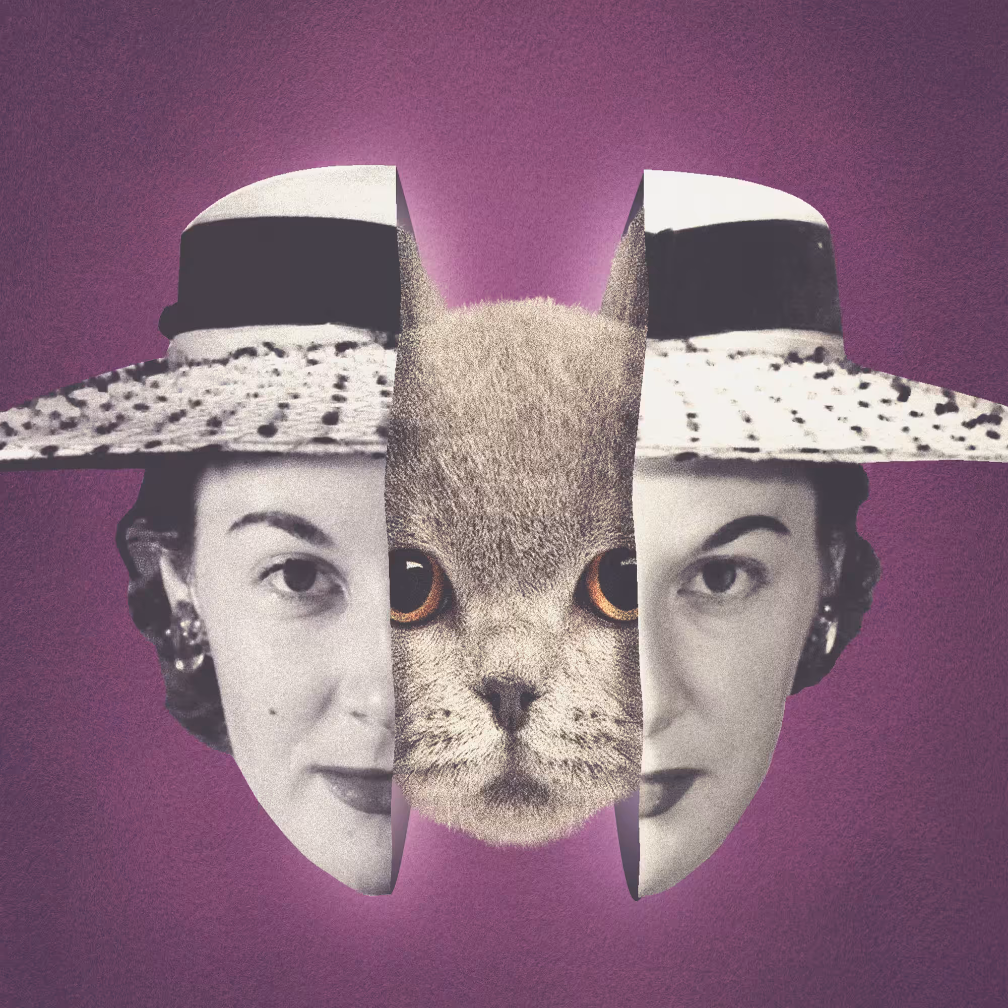 Feline Woman