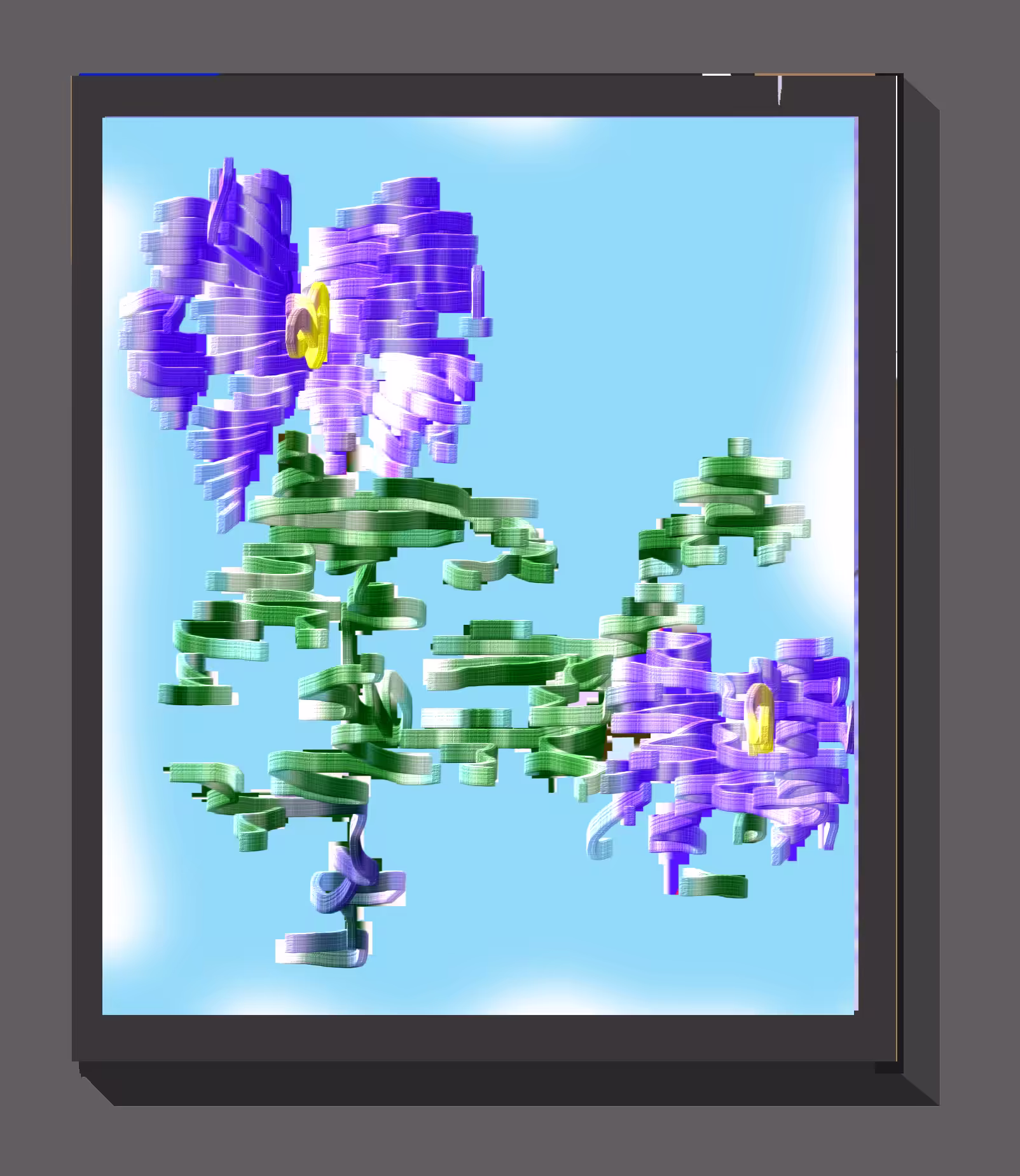 violetas