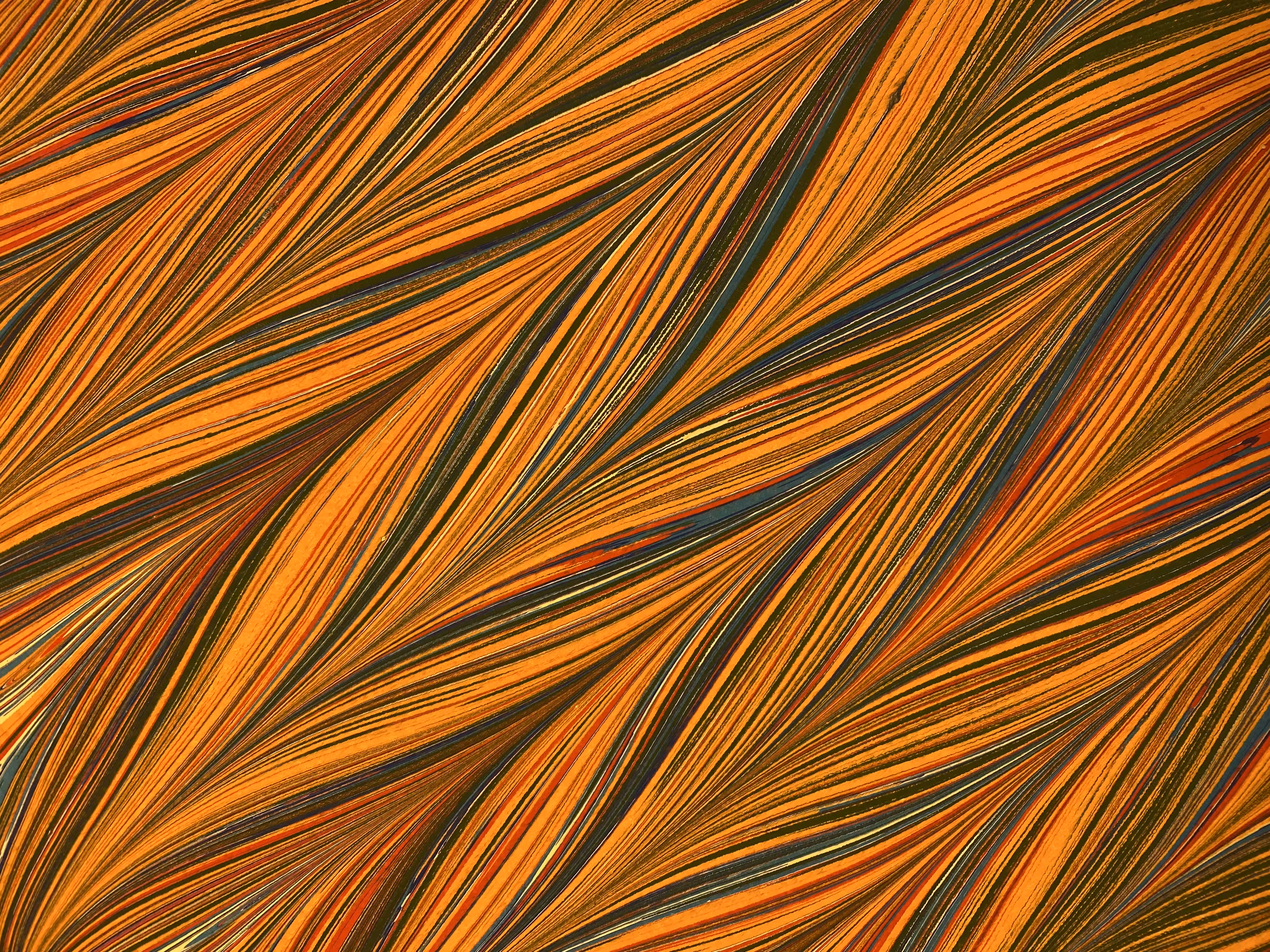Gelgit Ebru / Marbling Art CE #6