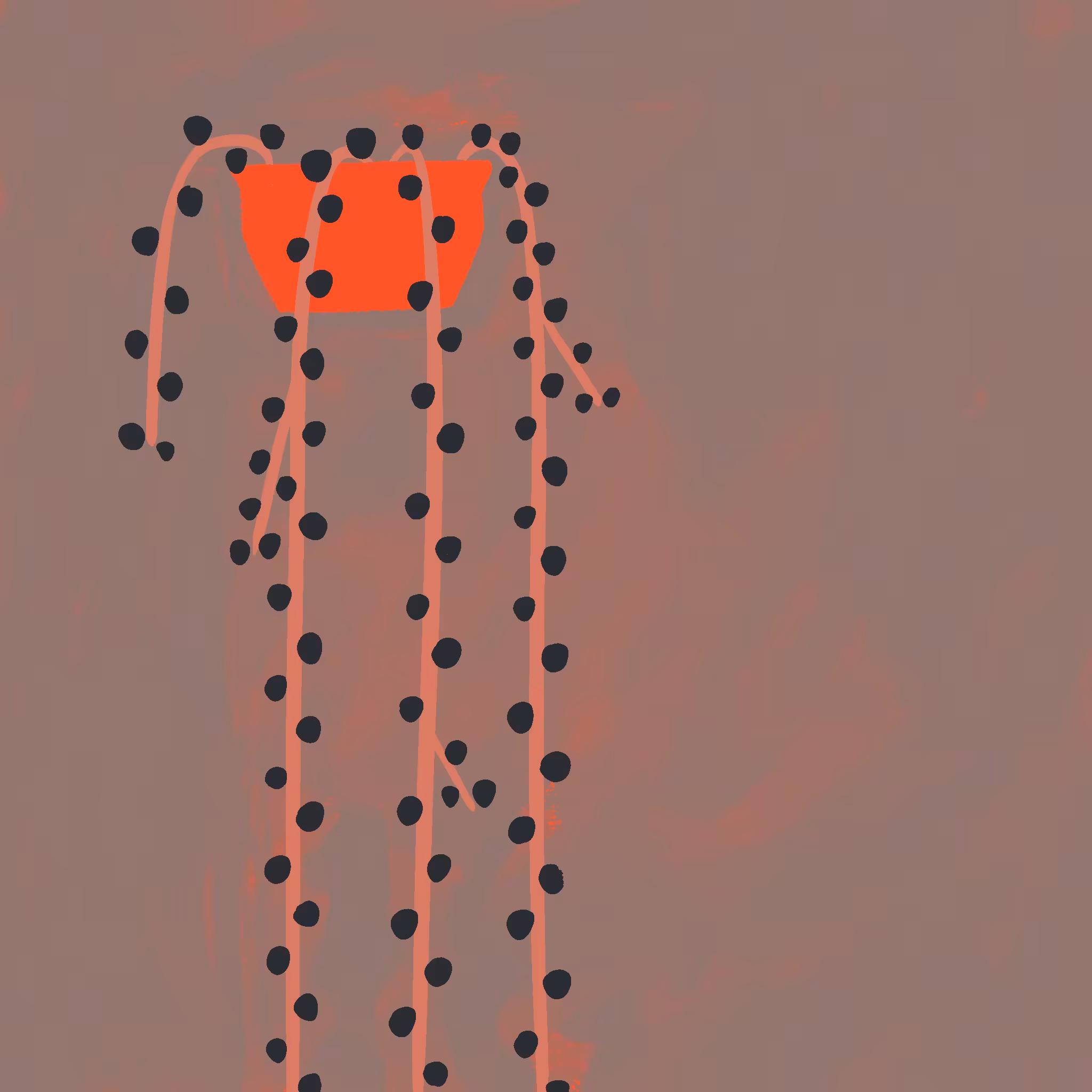 Autumn Creeper