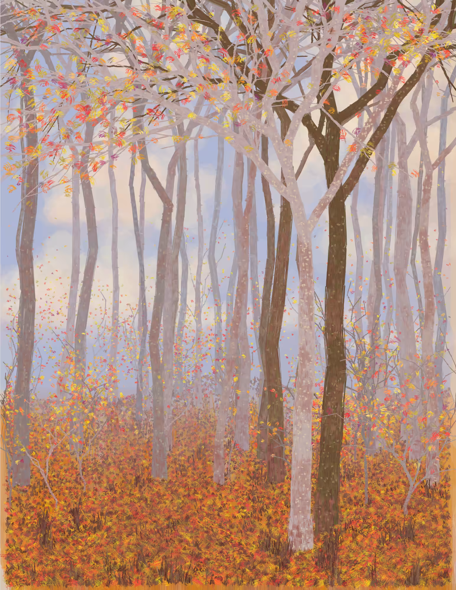 Deep Forest #344