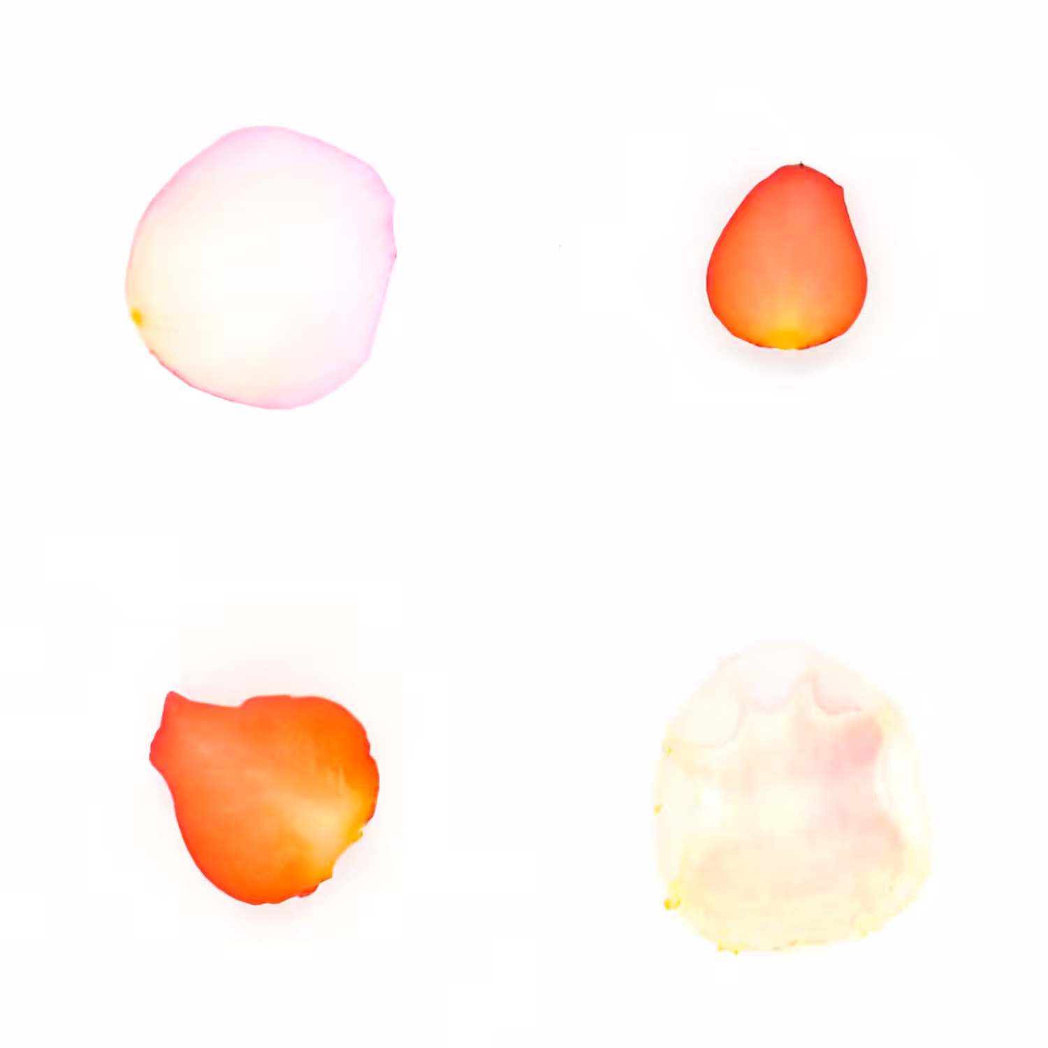 Infinite Petals 2x2#20095