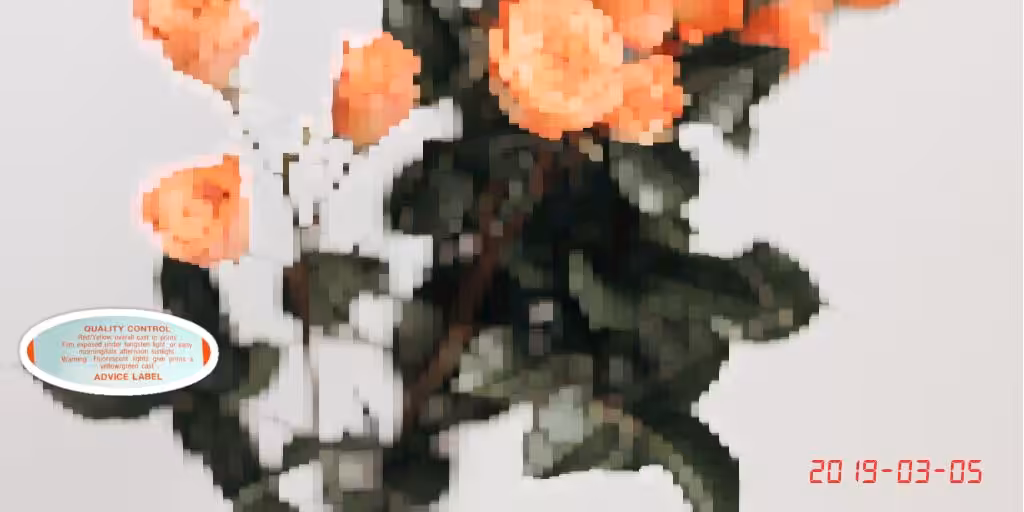 bad photo 3