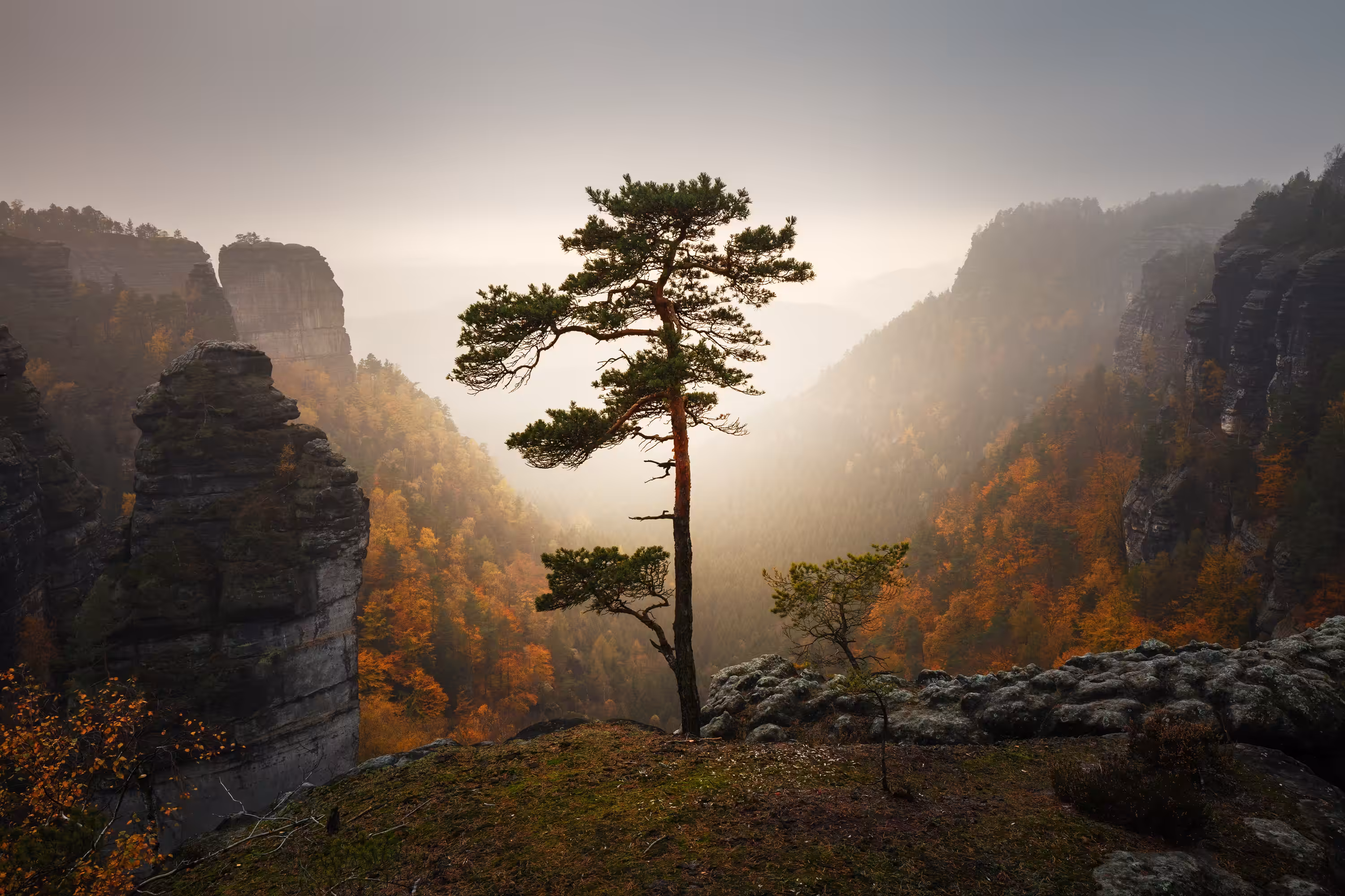 Sentinel