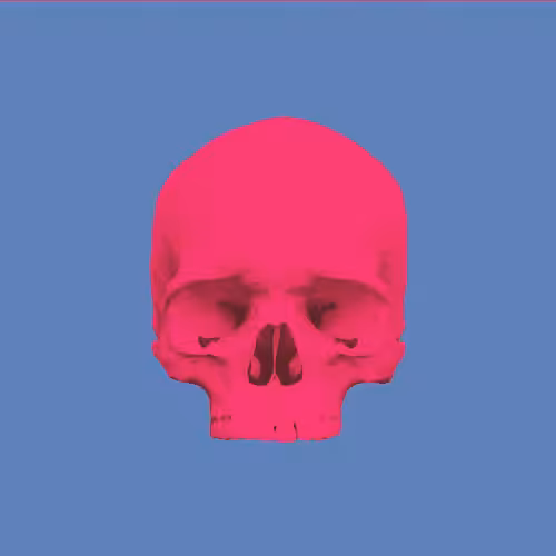 Skull Space Color: #3
