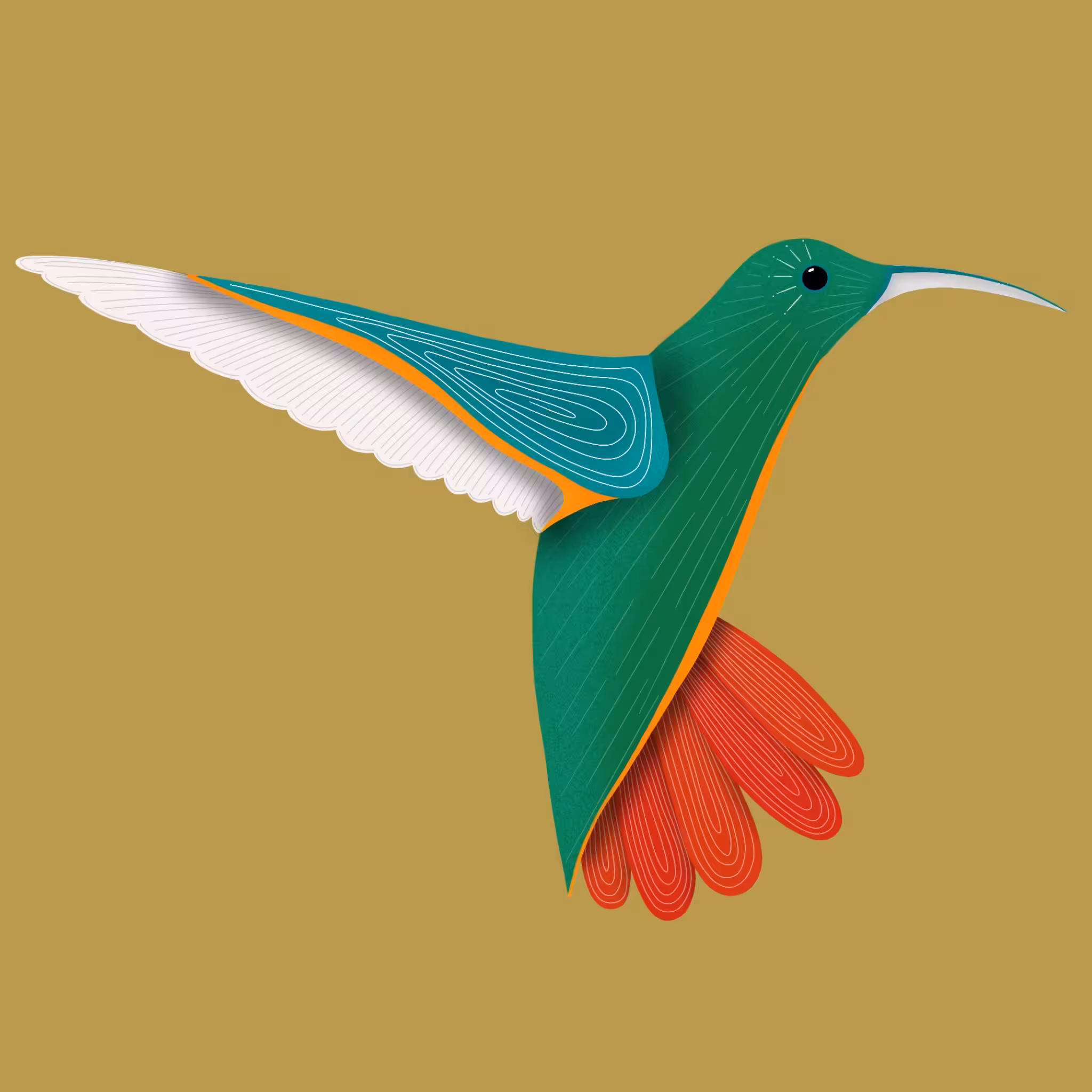 Hummingbird