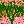 The Riley tree