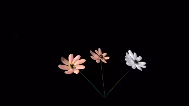 "Flower in darkness"