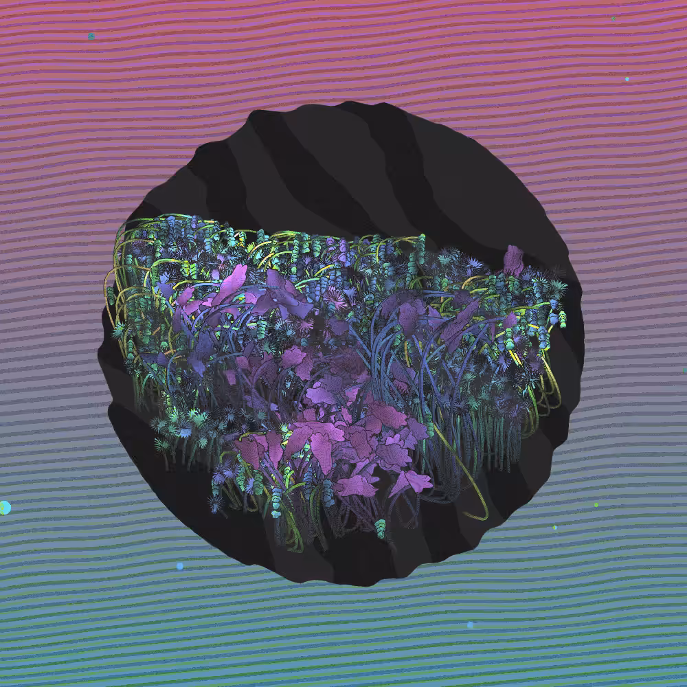 A Gift of Nature #111
