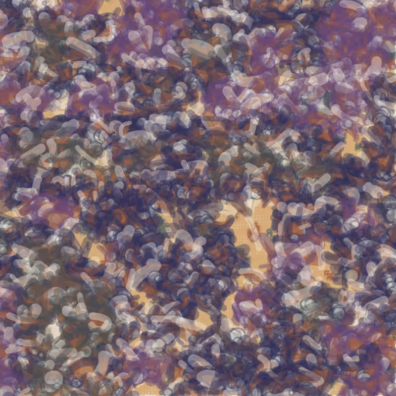 Petri 1500 v2 QHD  #469