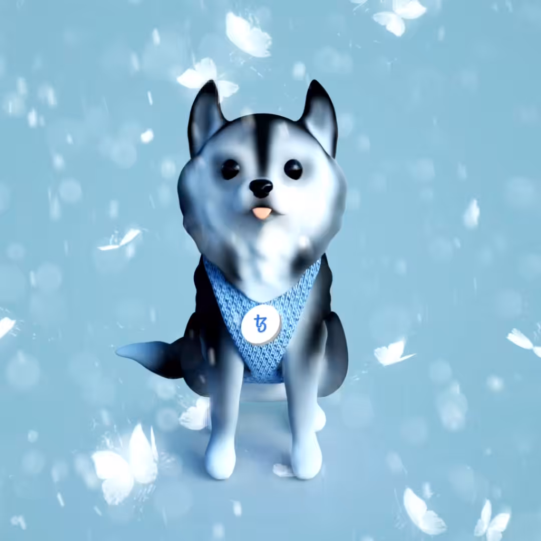 DoGz #2 Husky