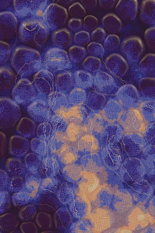 Vitreous #25