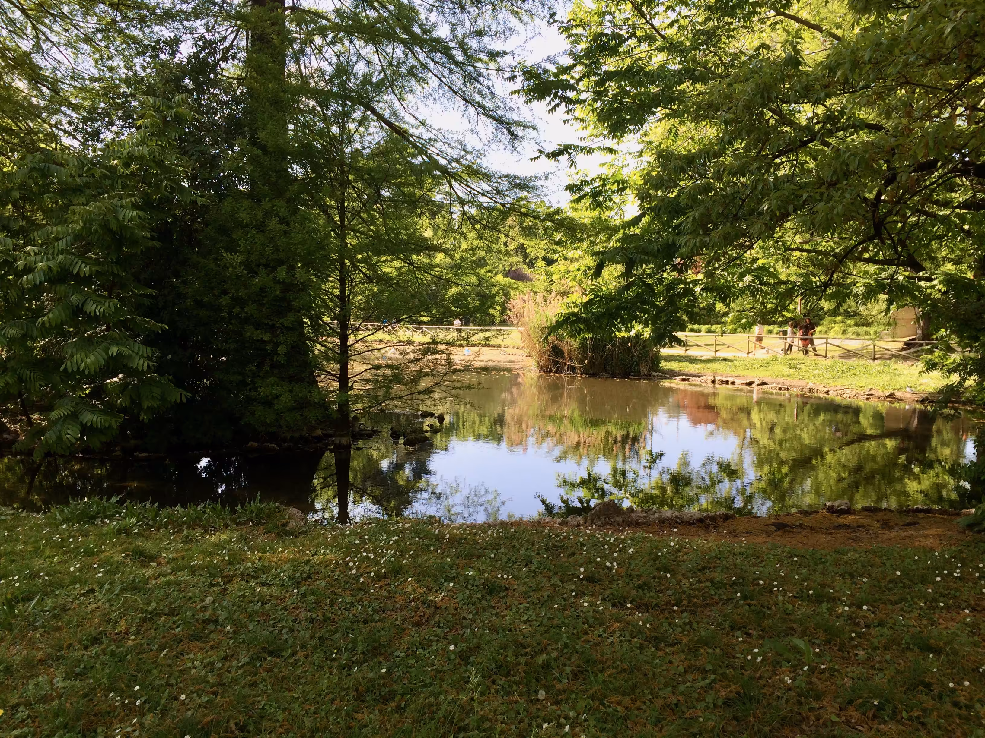 Little Pond 2
