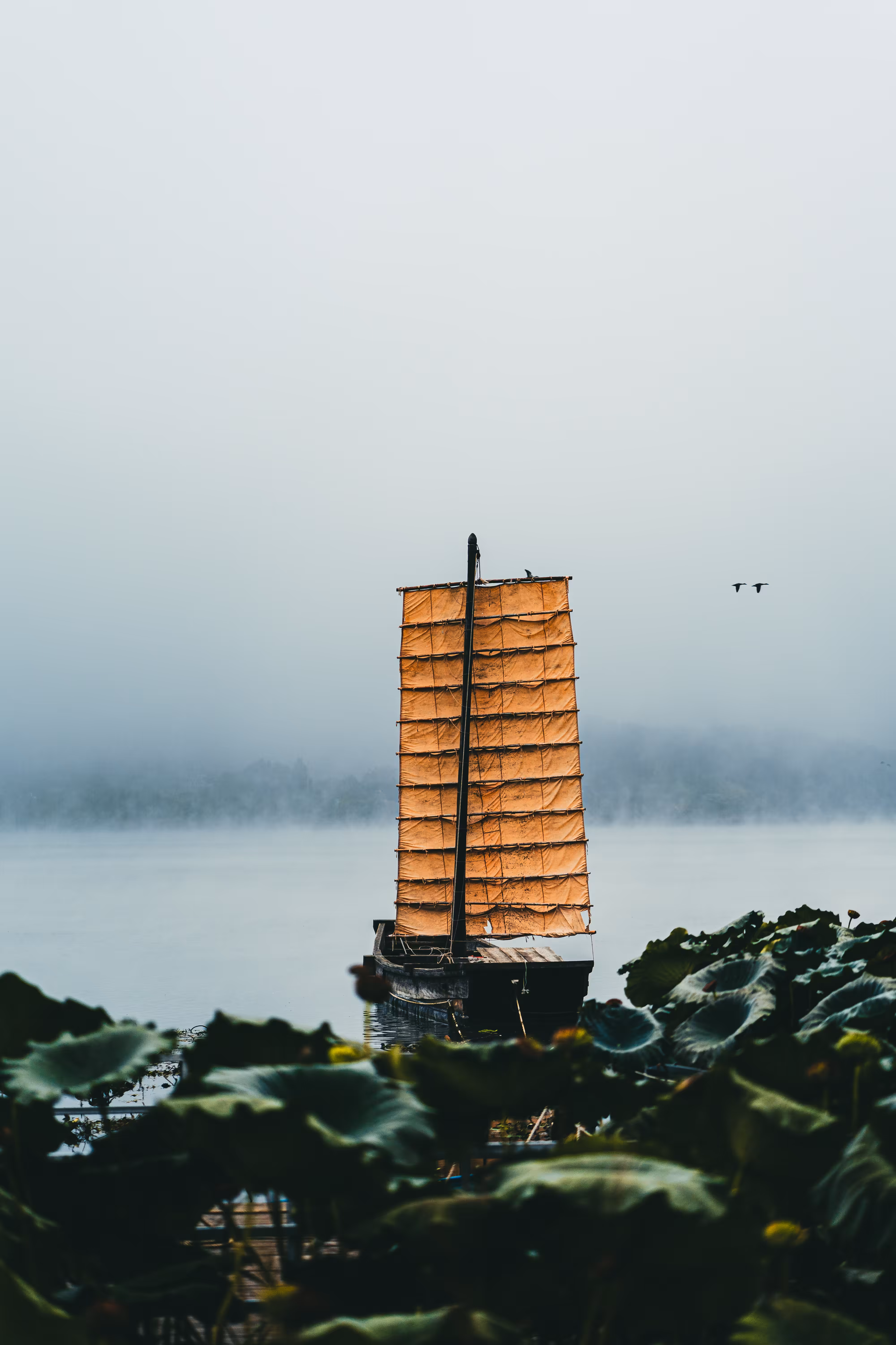 Stillness