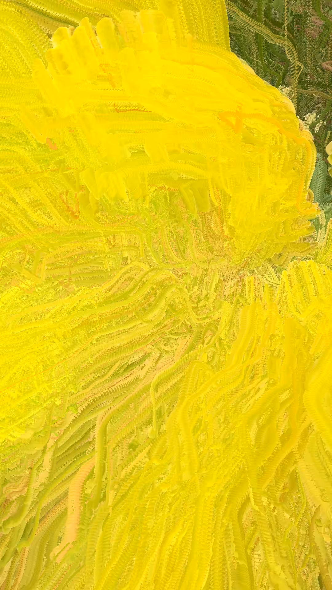 2025-05-27