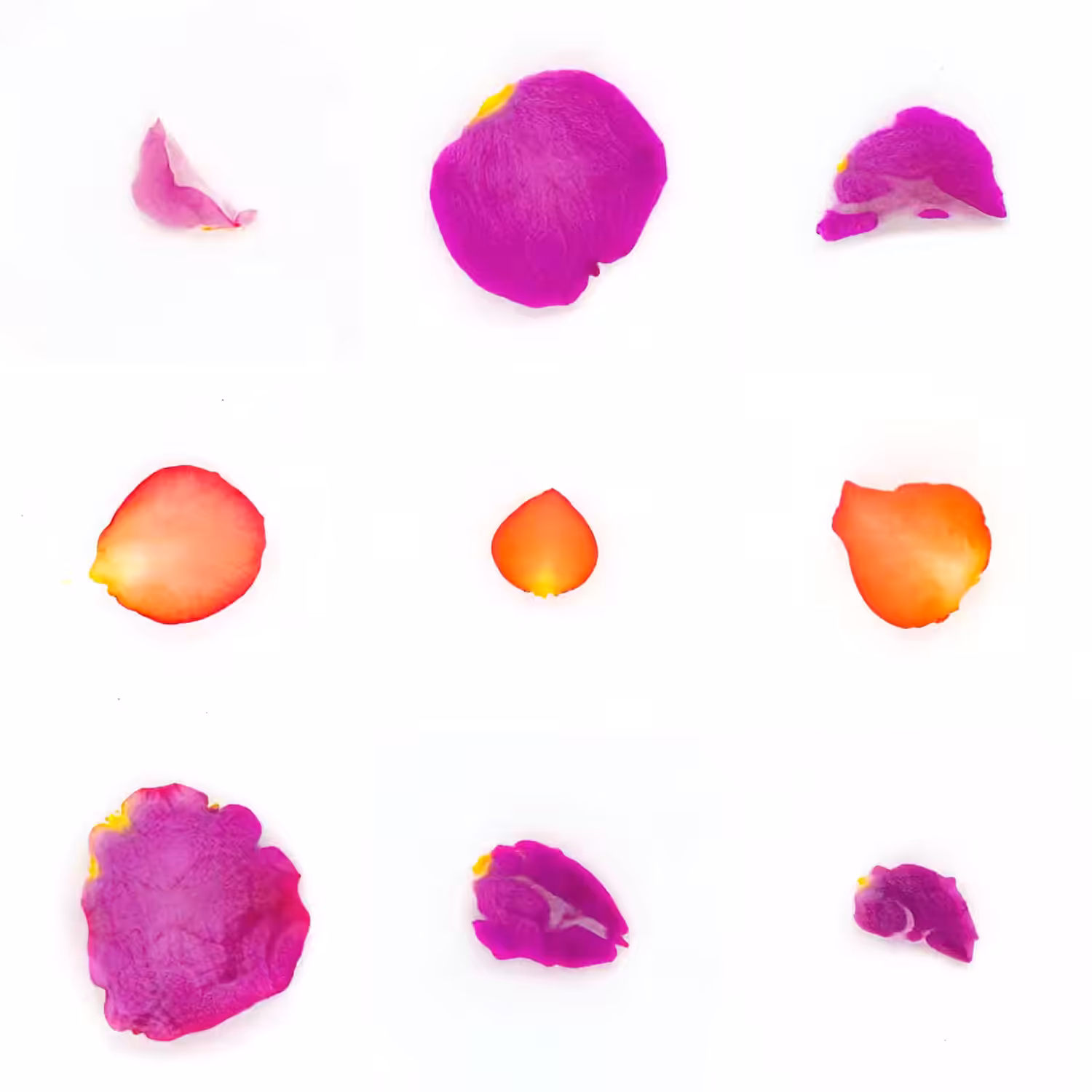 Infinite Petals 3x3#1389