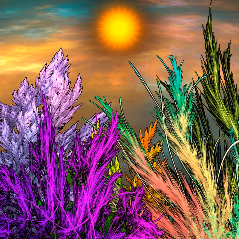 Secrets of the fractal nature #2