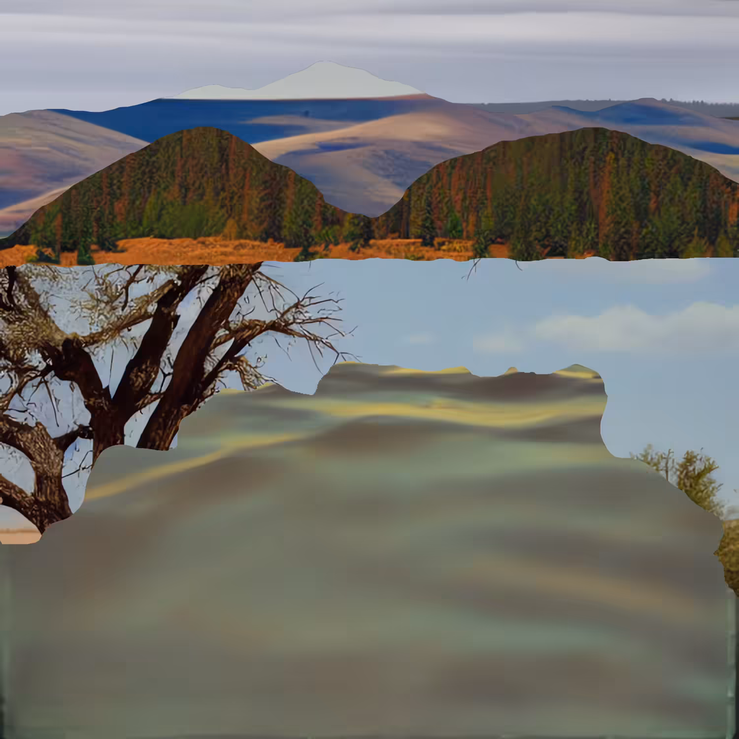 Land Sea and Sky (Short-Form): 04C-83Land-37Mountains-41Sea-68Sky-52Trees