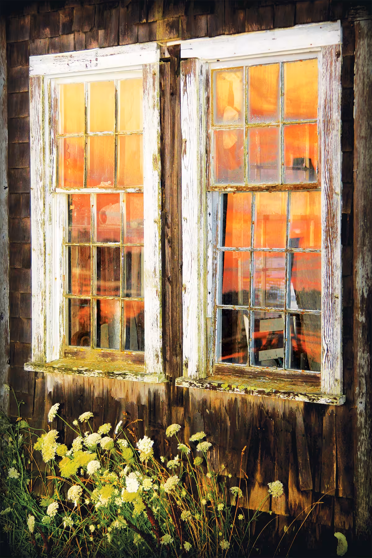 Menemsha Reflective