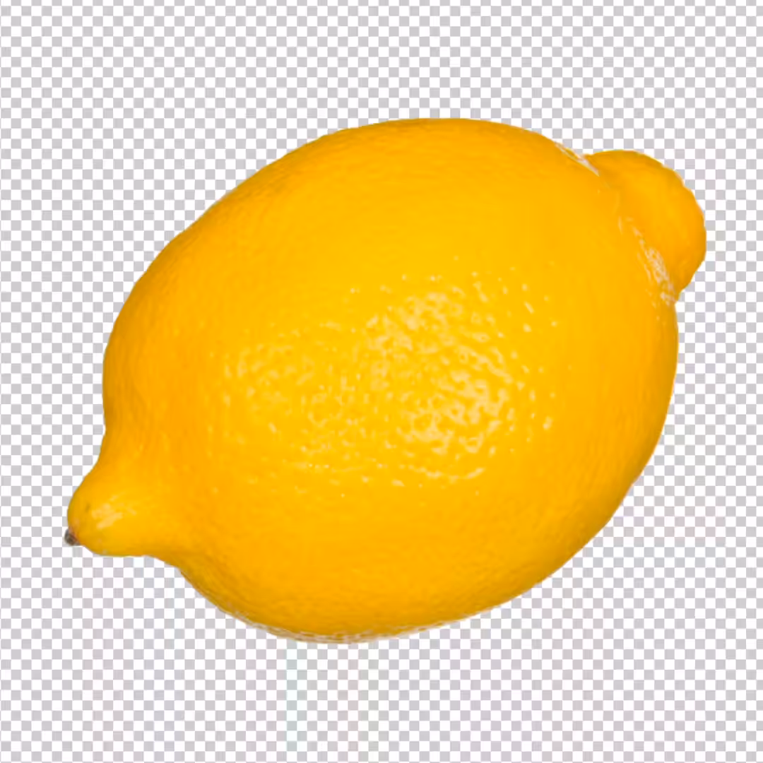 LemHomer