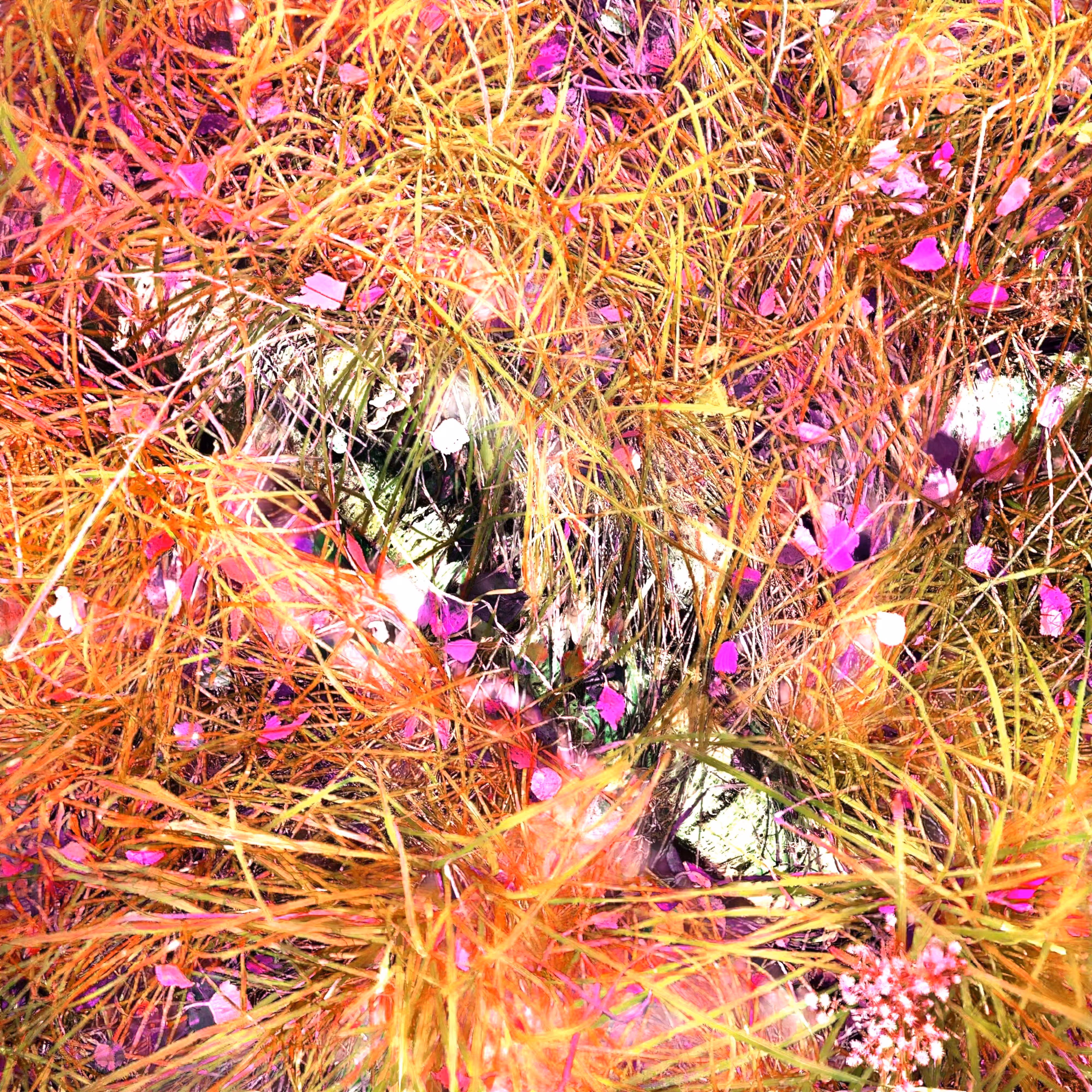 Autonomous Forest Plots: Plot u329hvjdc