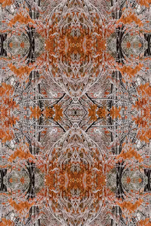 Foliage Rug