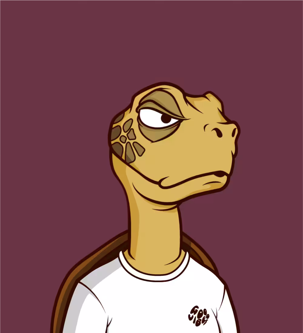 Tiny Turtle's: Tiny Turtle 70