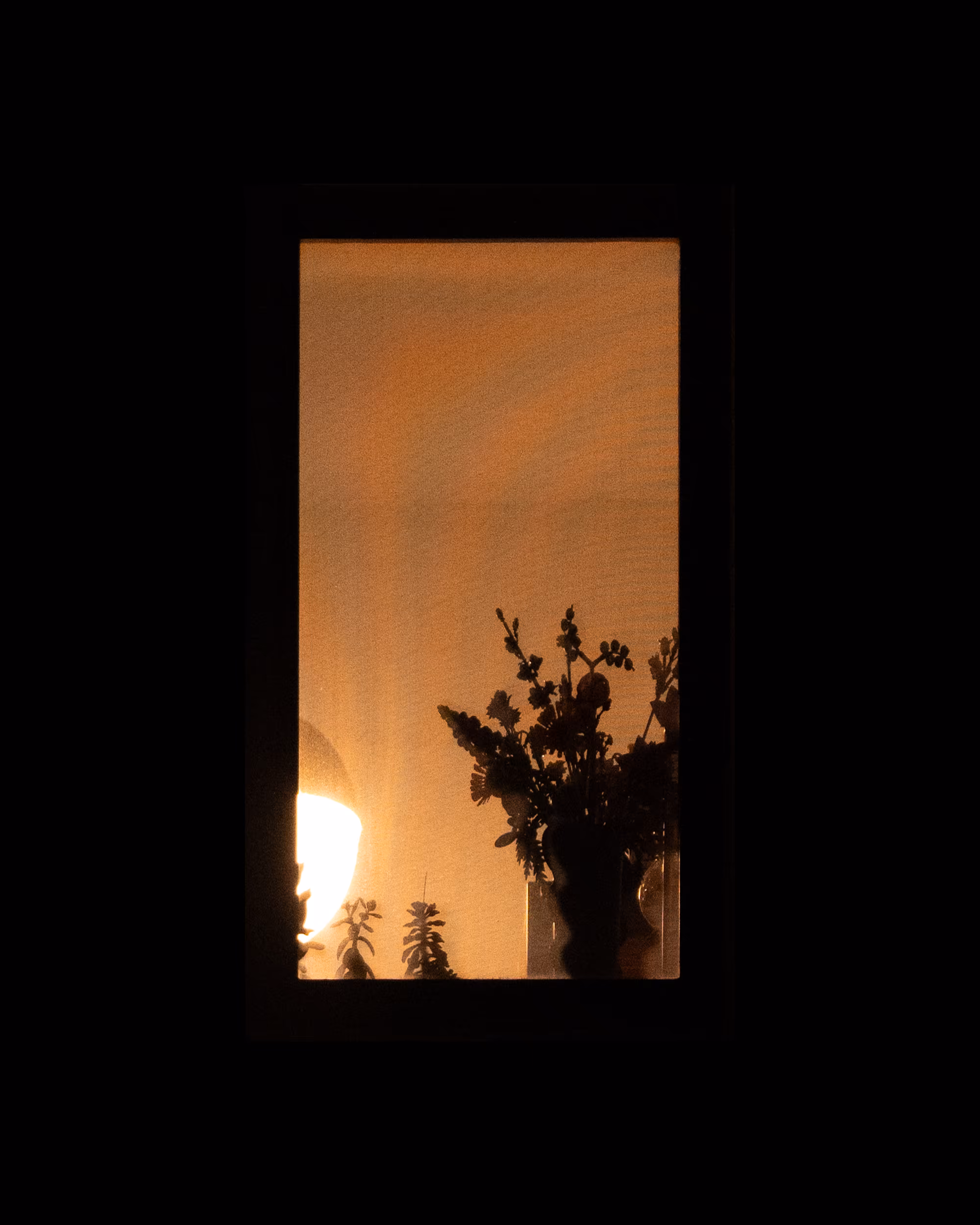 WINDOWS // NYC: WINDOW 961