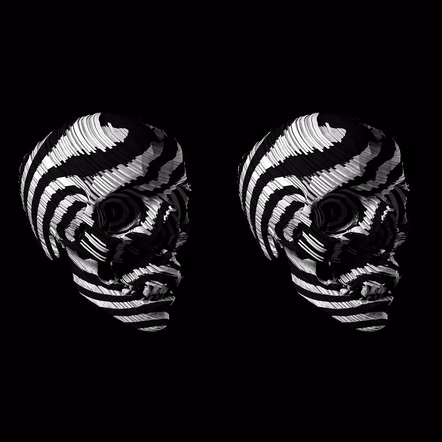 StereoSkully