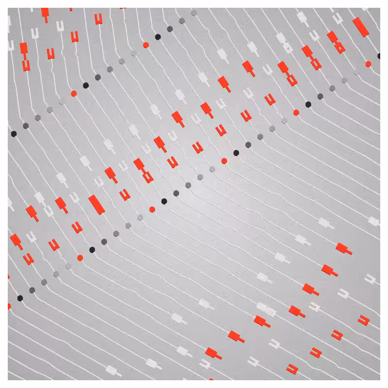Neural Collapse #19