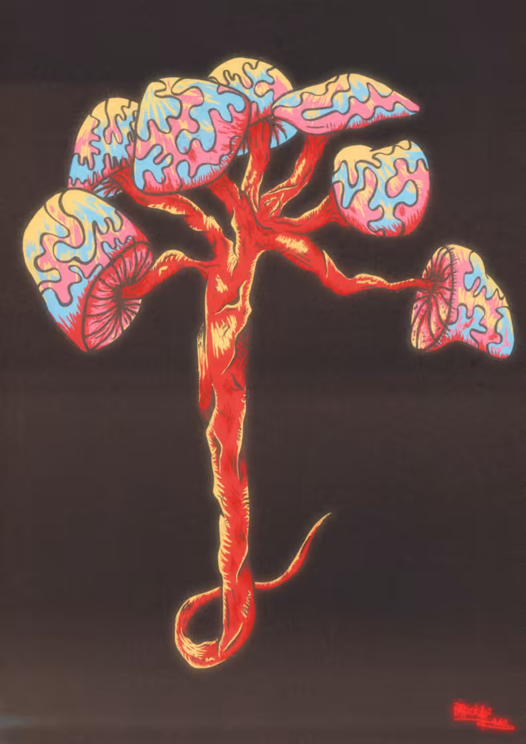 THE DISORDER MUSHROOMS