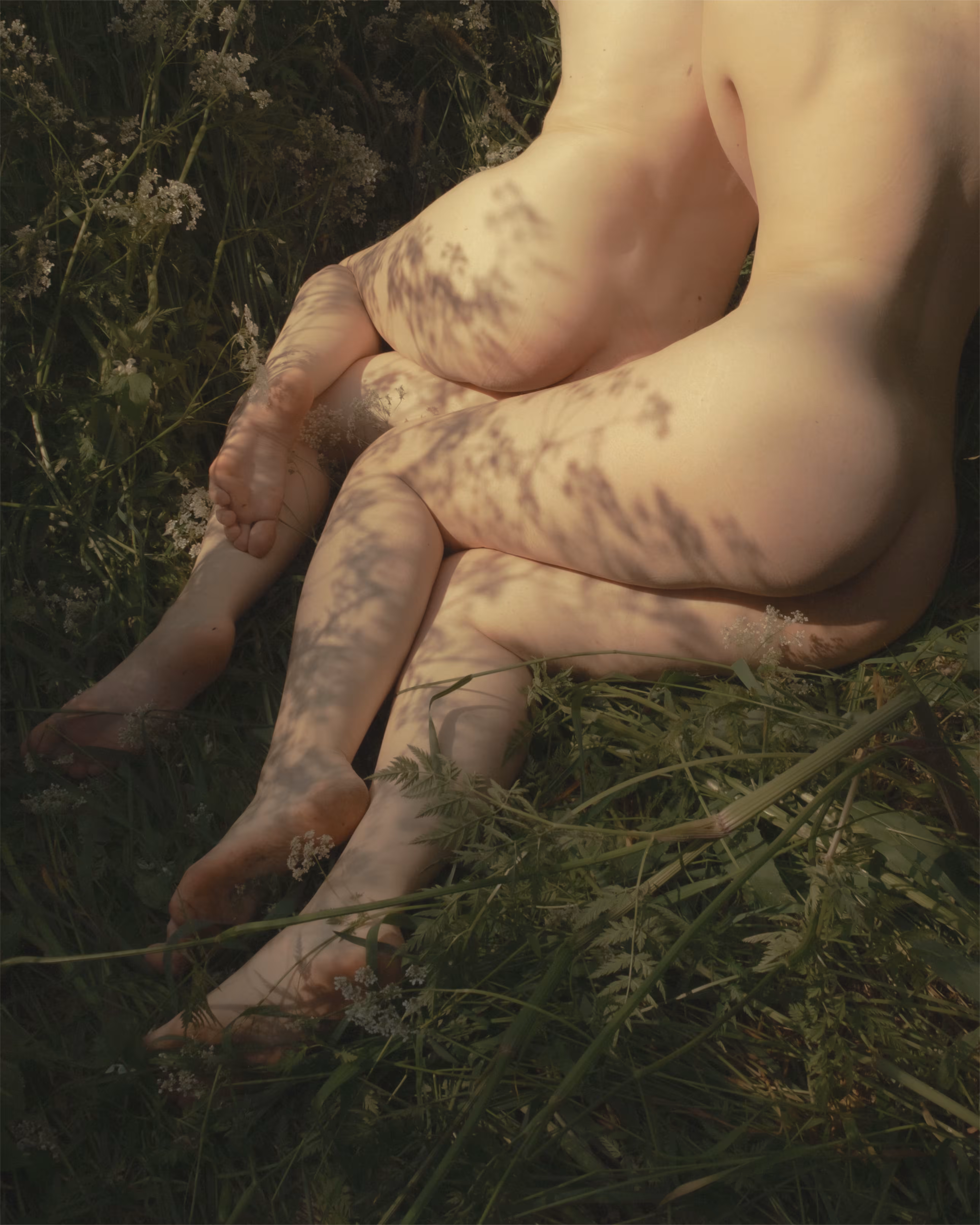 Where Dryads Sleep
