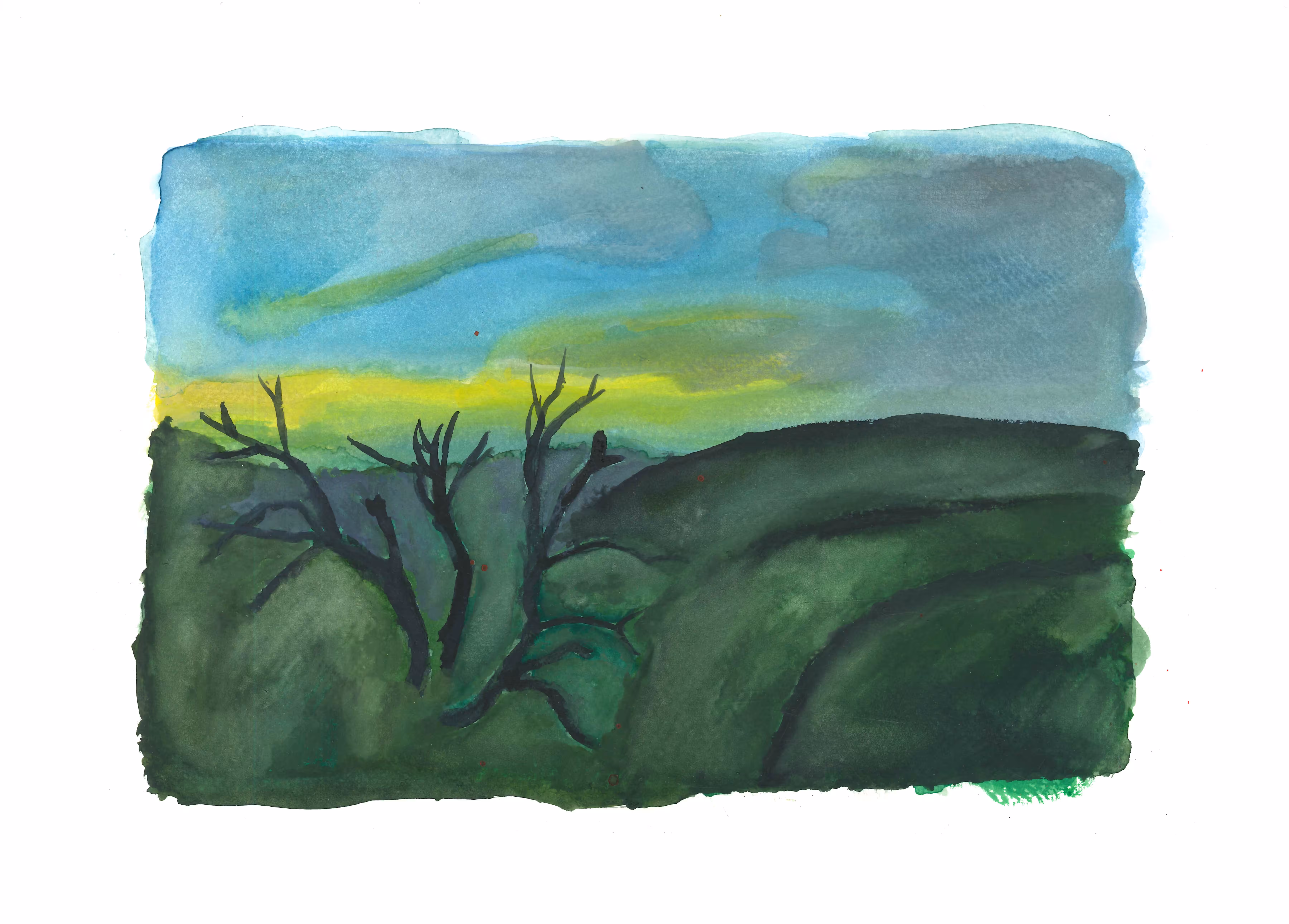 ethereal forest