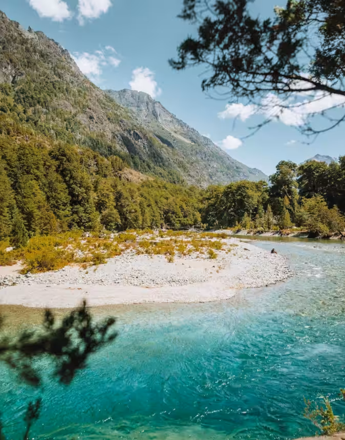 Los Alerces - National Park