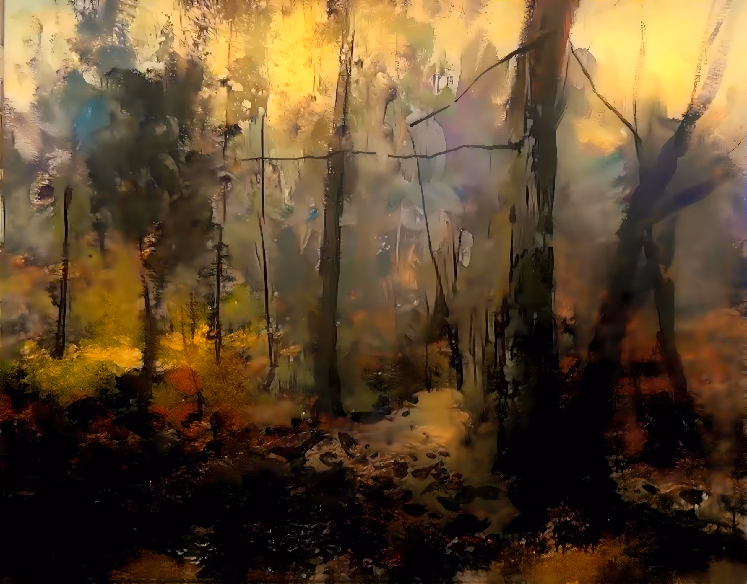  Dark forest