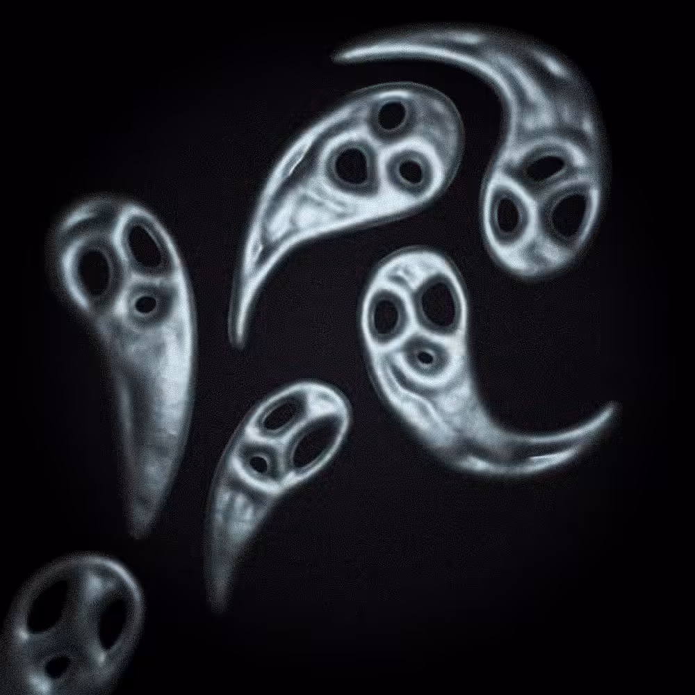 Late night haunting