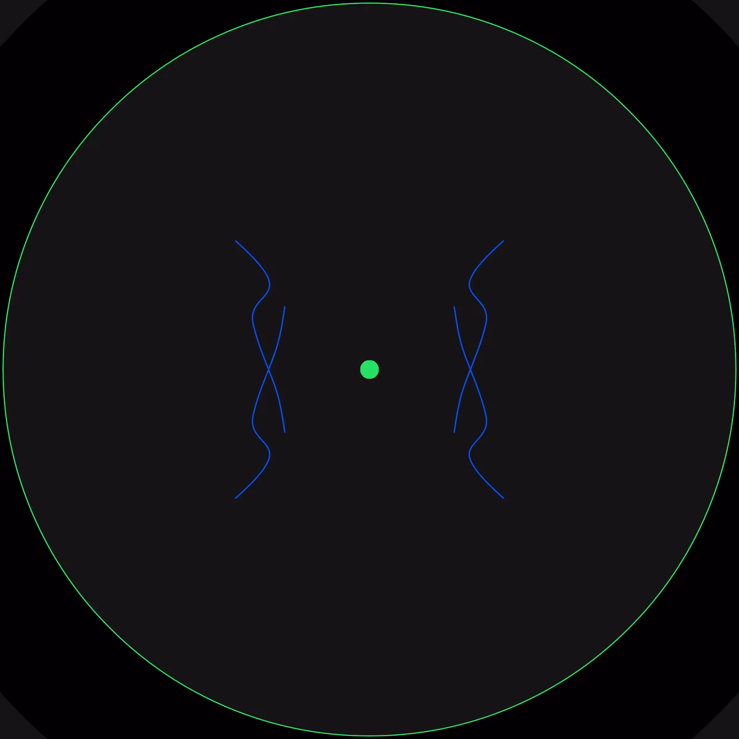 Petri #138