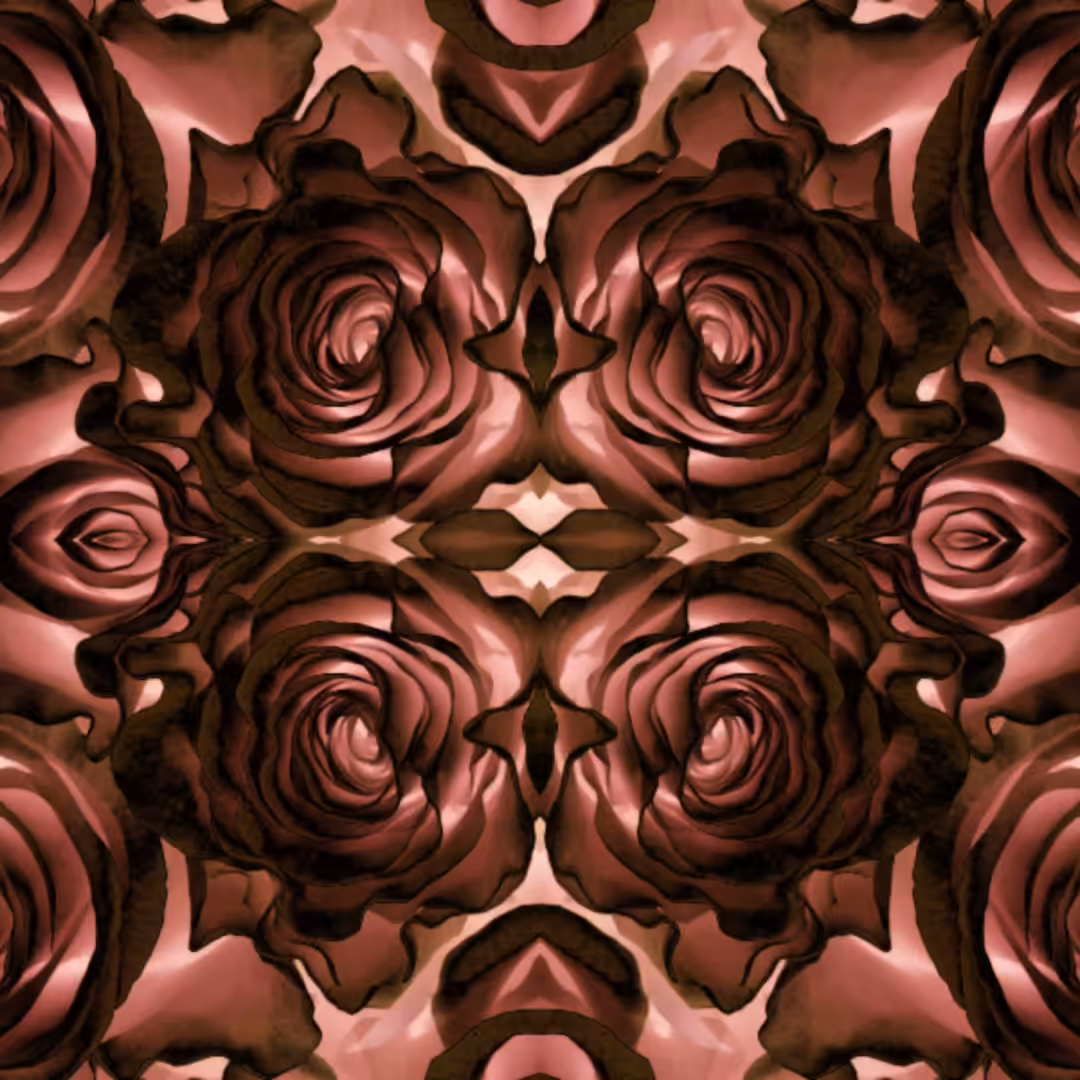 Enchanting Roses