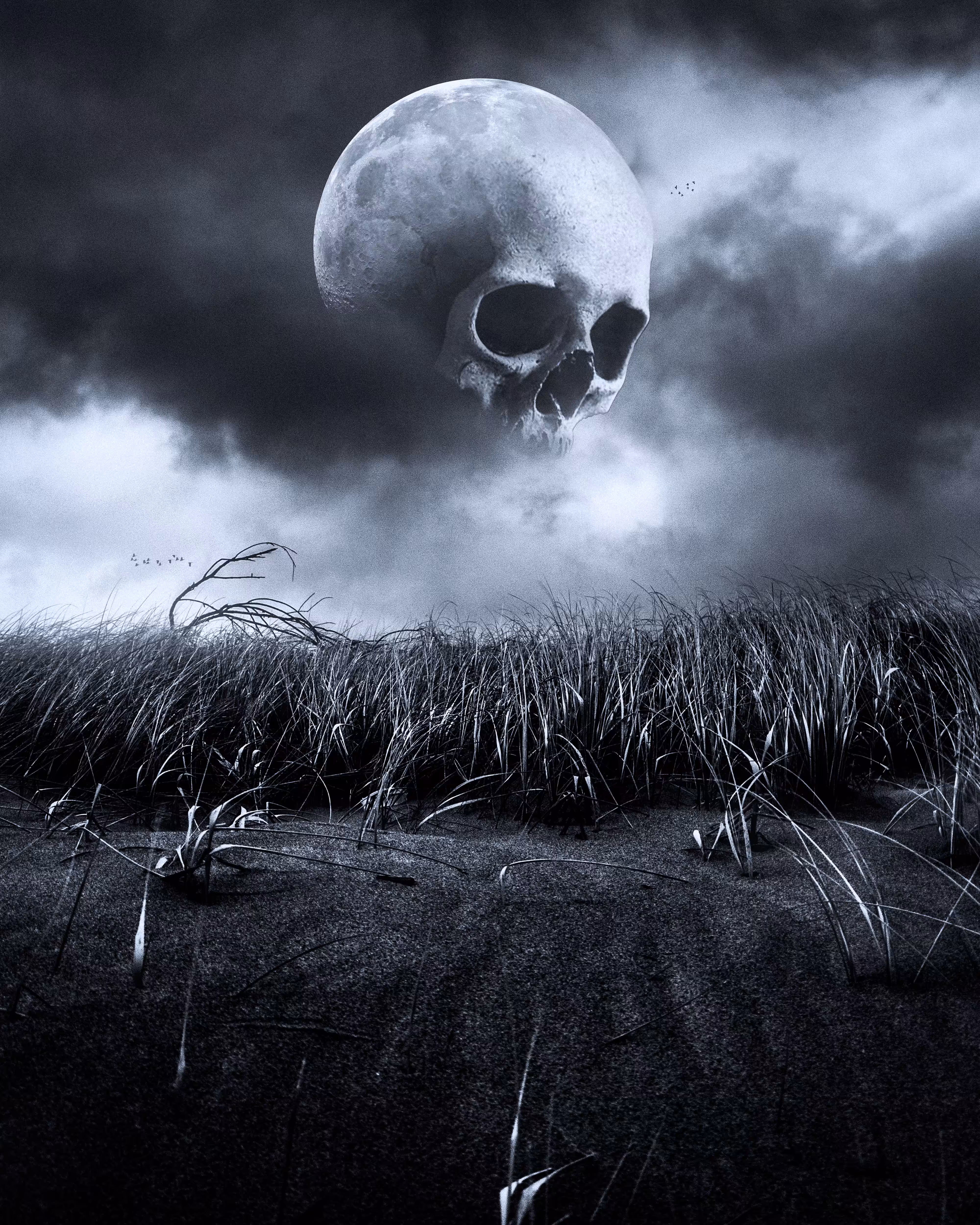 Skullmoon //