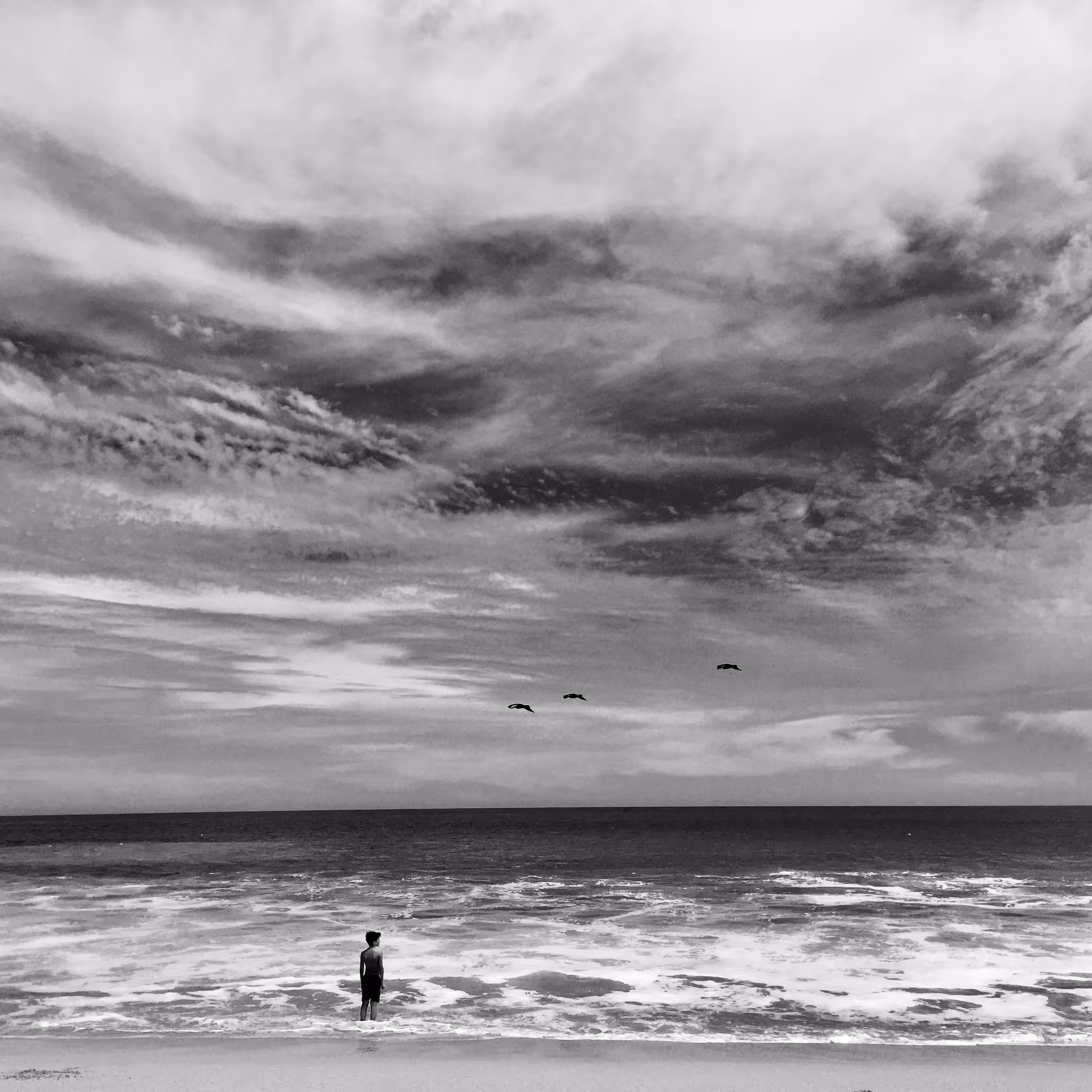 boy with birds and the ocean