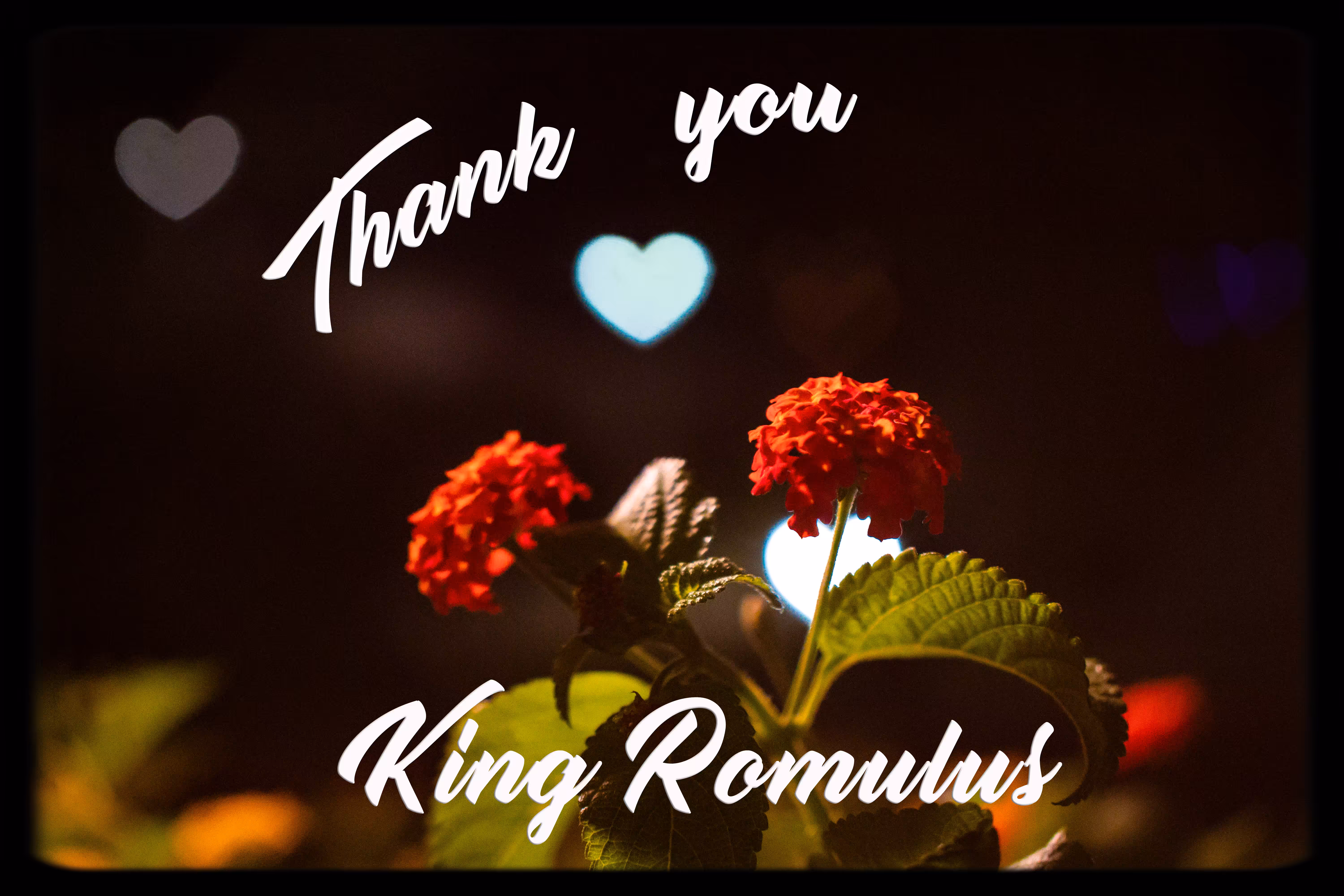 Thank You King Romulus