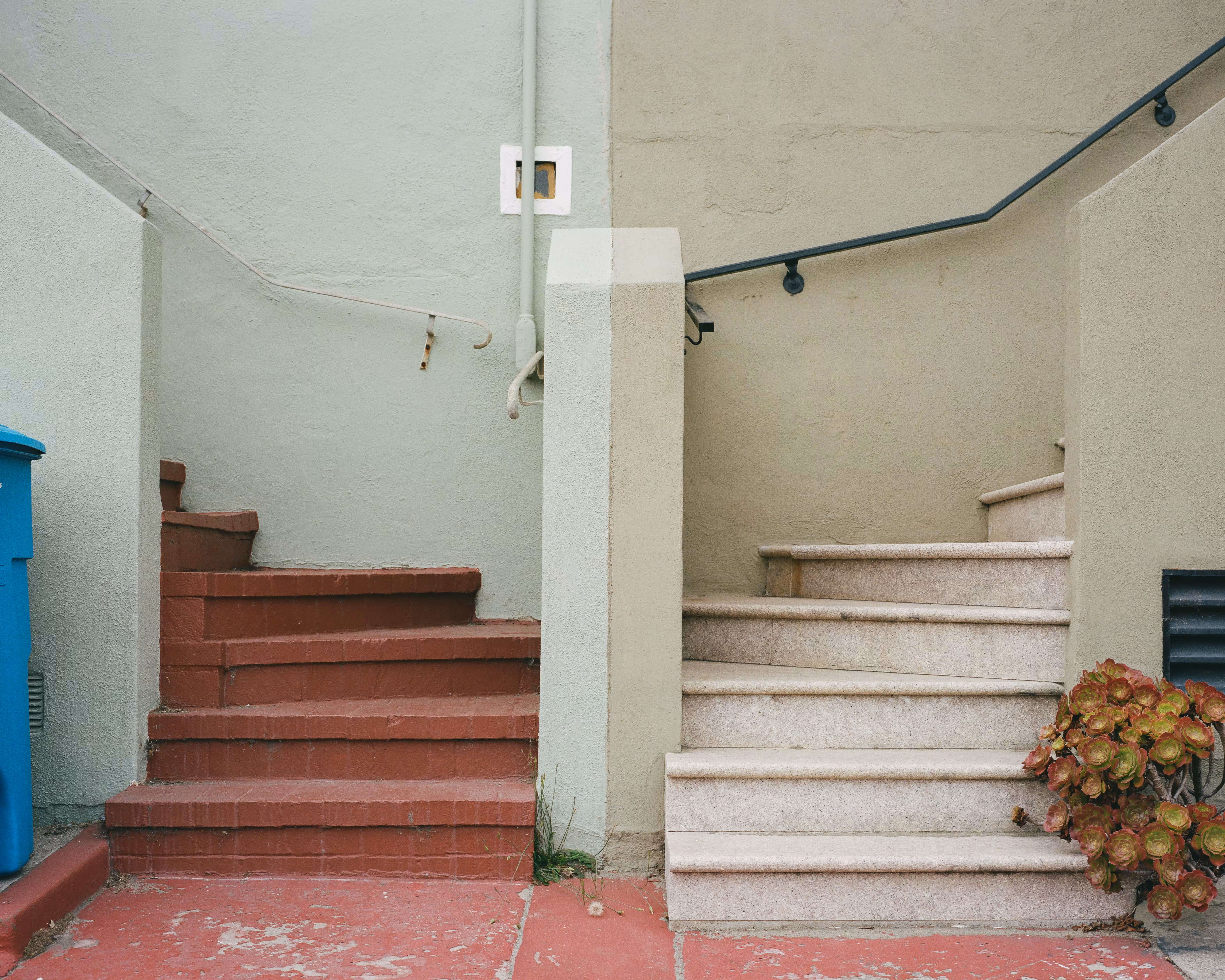 Come Together // Vicente