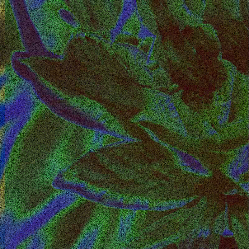 CLDCSMC #61