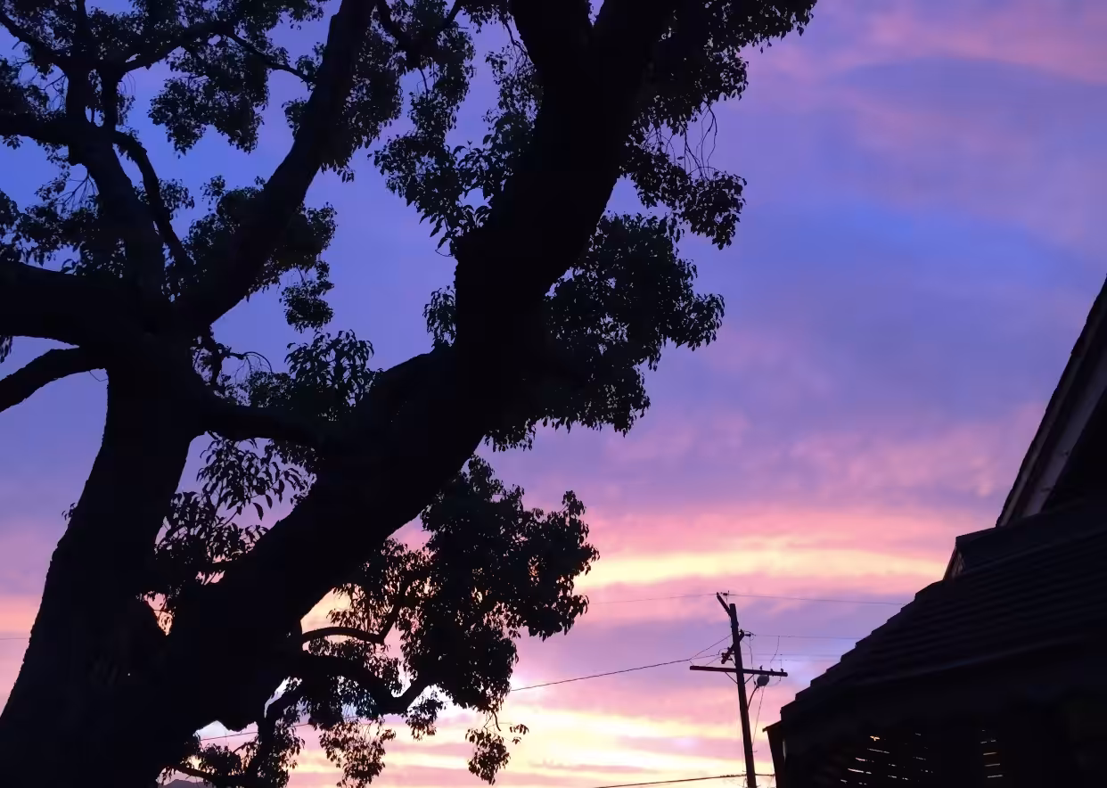 Sunset Palette