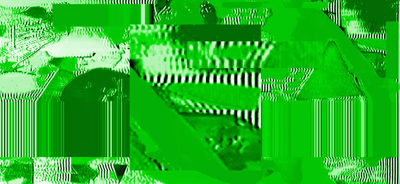 GЯΞΞИ БДЯ 🔫