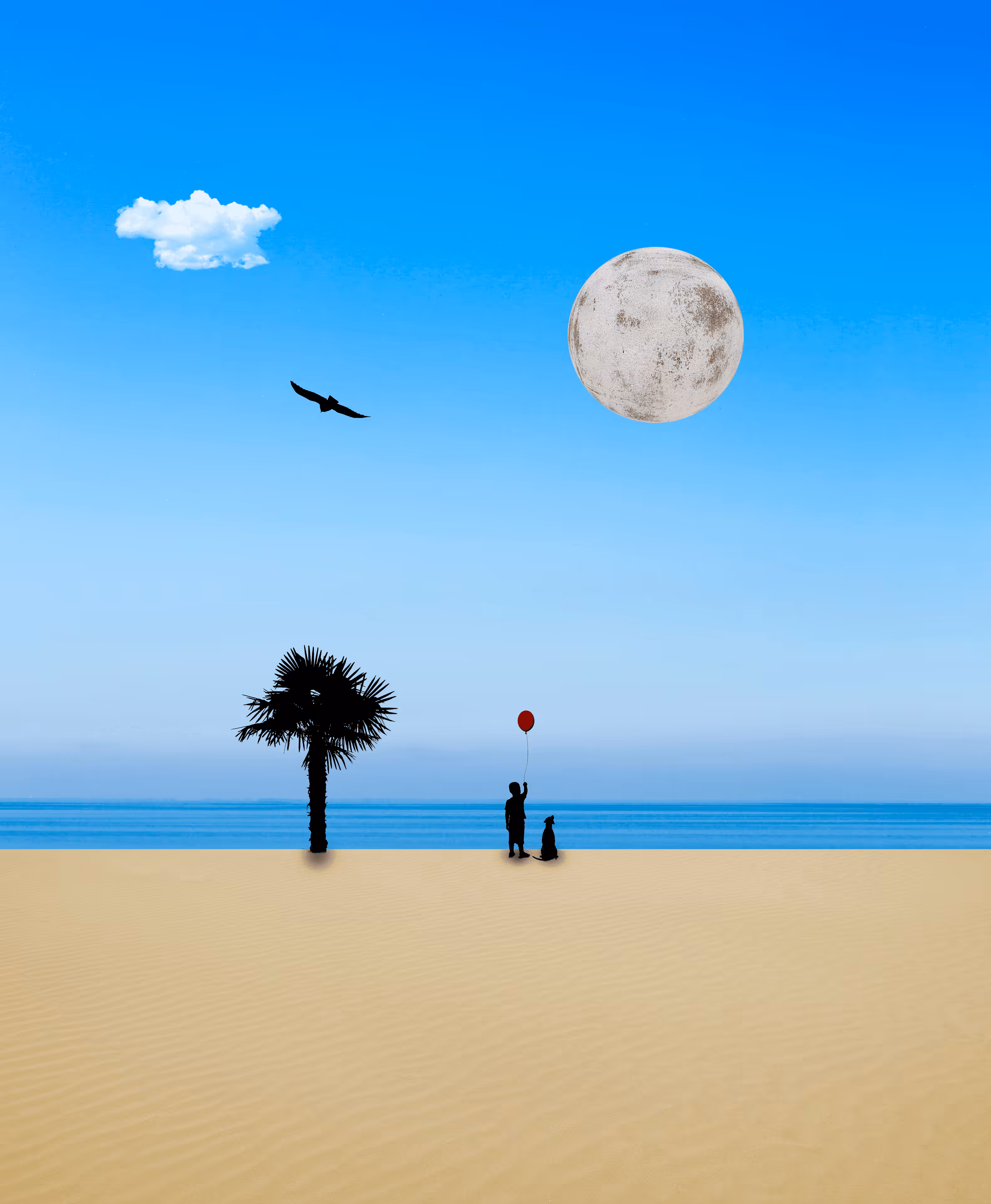 Serenity #5